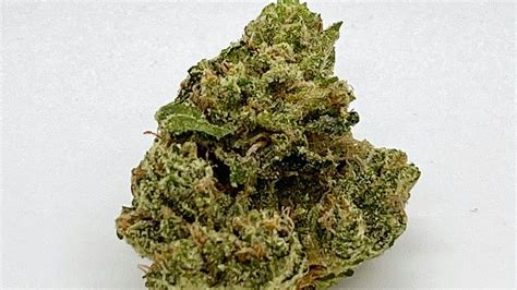 valley vixen|Valley Vixen Weed Strain Information